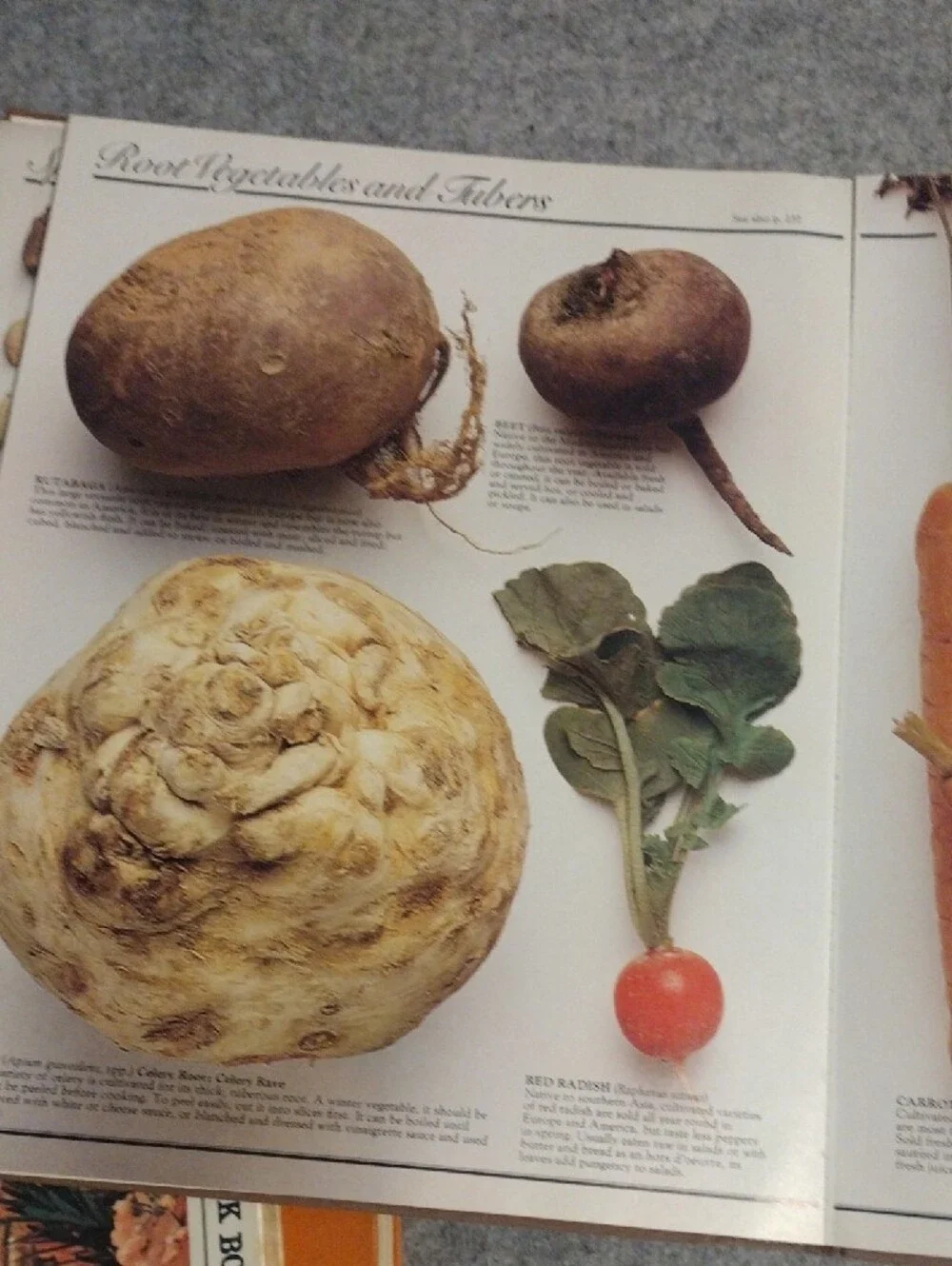 Cooks' Ingredients Cookbook - White Cover
